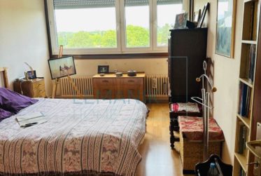 Superbe appartement traversant en viager occupé sans rente