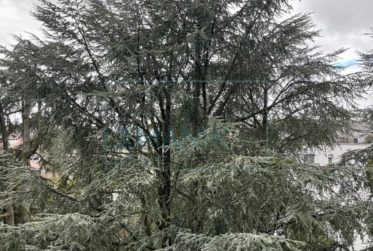 Exsclusivité appartement traversant de 5 pièces avec balcons au cœur de la ville